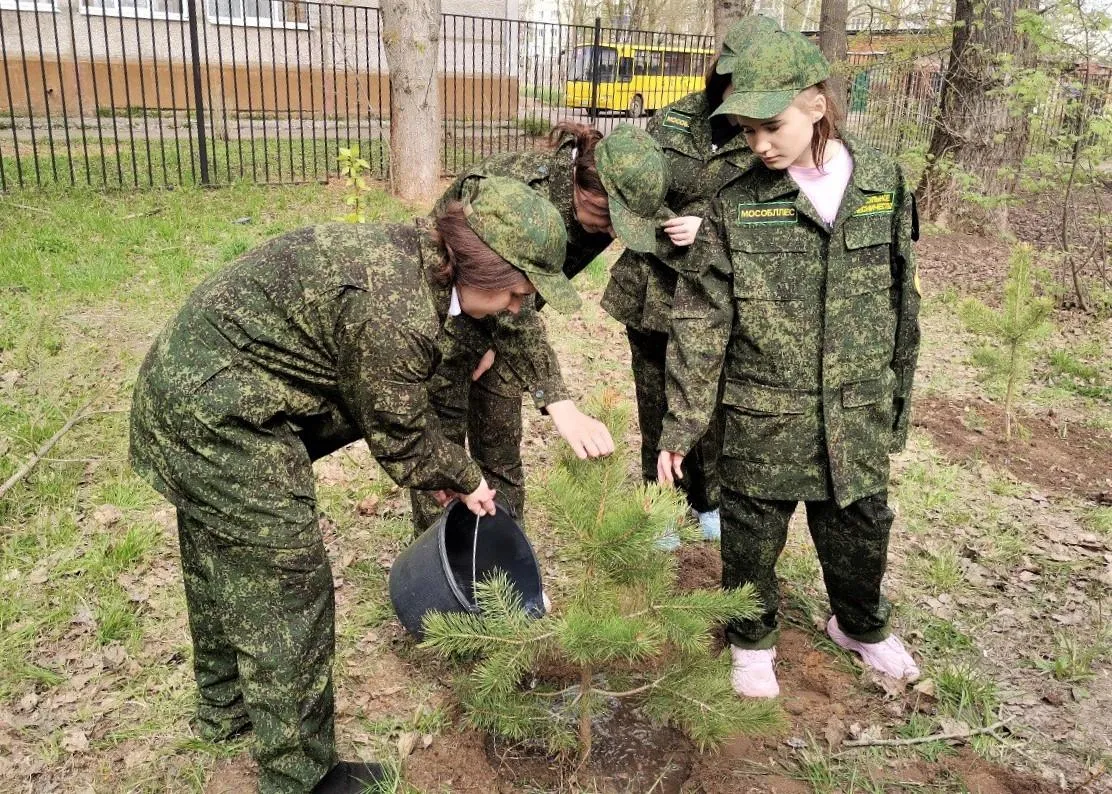 Комитет лесного хозяйства Московской области