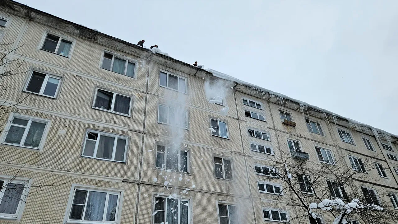 МедиаБанк Подмосковья/Вероника Горбачева