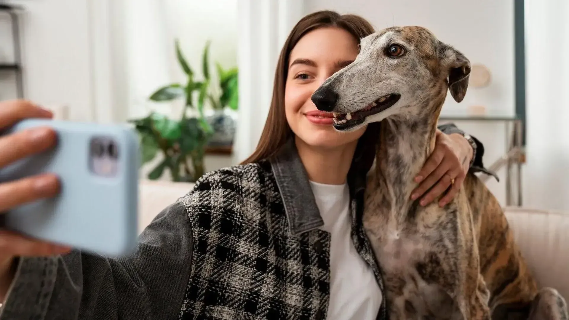 медиасток.рф