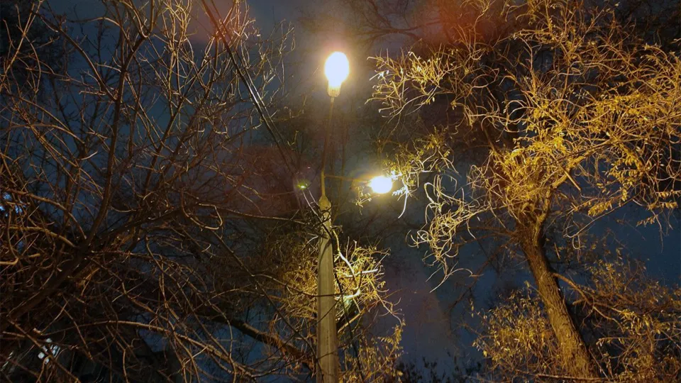 Фото: REGIONS/Дмитрий Кравцов