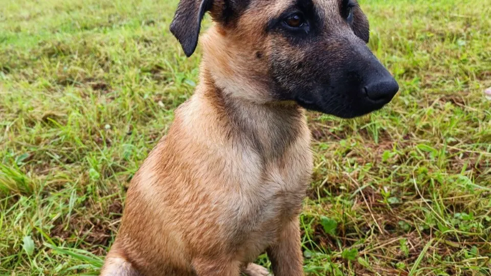 Фото: МедиаБанк Подмосковья/Яна Шаливская