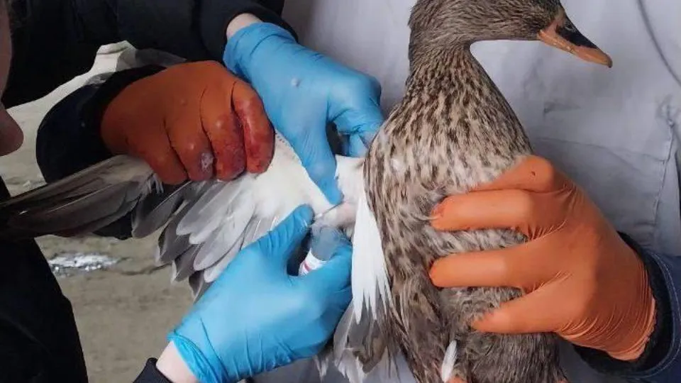 Фото: Министерство сельского хозяйства и продовольствия Московской области