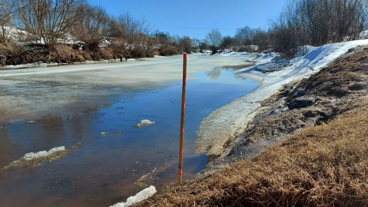 Фото: Юрий Крупенин/ТГ-канал