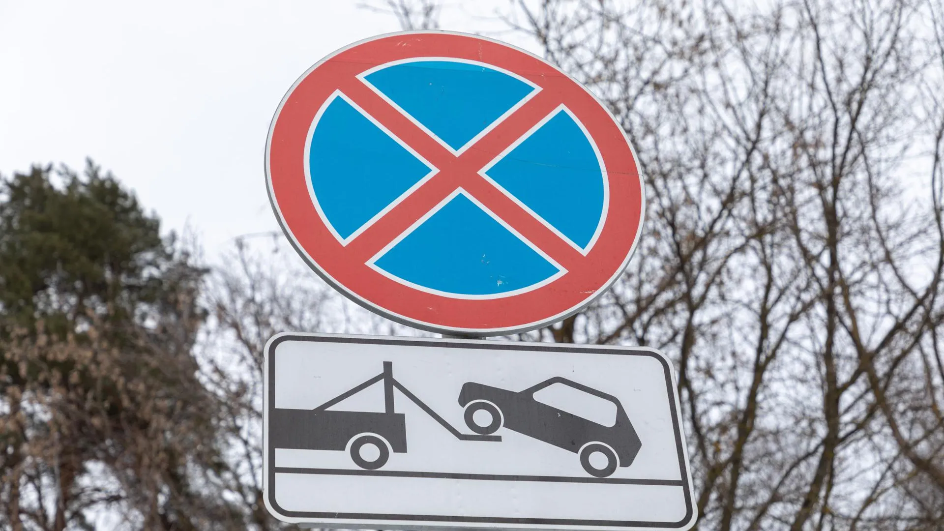 МедиаБанк Подмосковья/Владимир Думчев