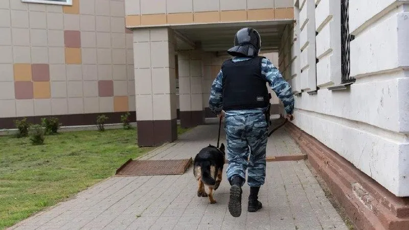 Эксперт назвал признаки потенциальной опасности, при которой стоит насторожиться