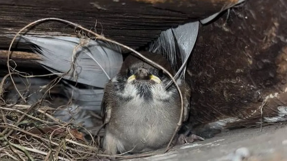 Фото: МедиаБанк Подмосковья/Екатерина Морозова