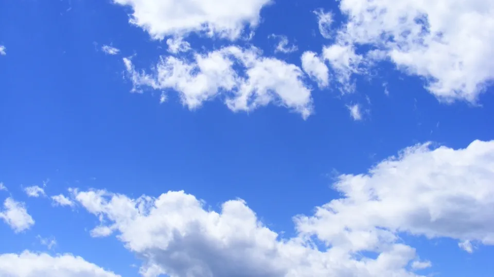 Фото: pxhere.com