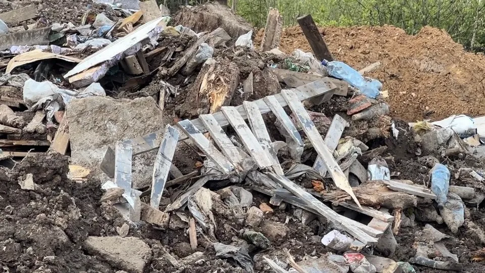 Фото: МедиаБанк Подмосковья/Валерия Ерофеева