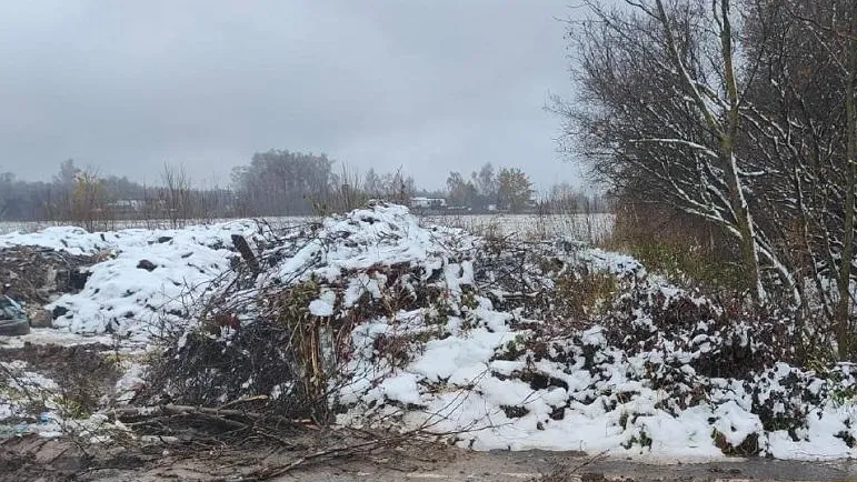 Фото: Министерство экологии и природопользования Московской области