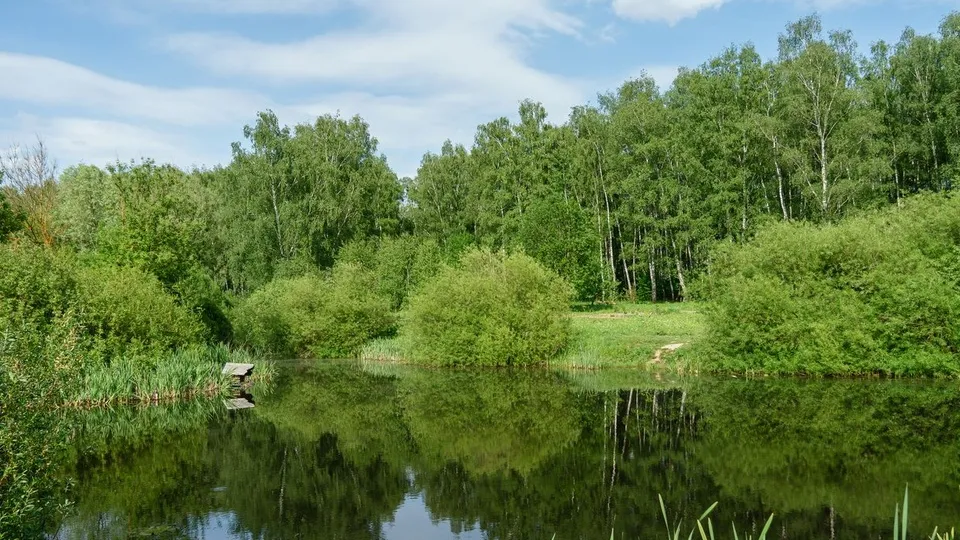 Фото: медиасток.рф