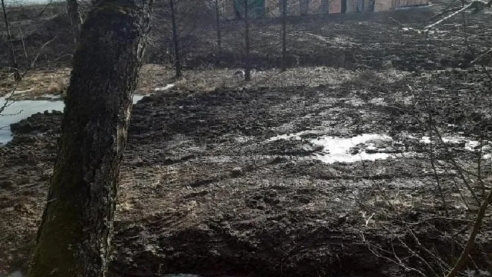 Фото: Министерство экологии и природопользования МО