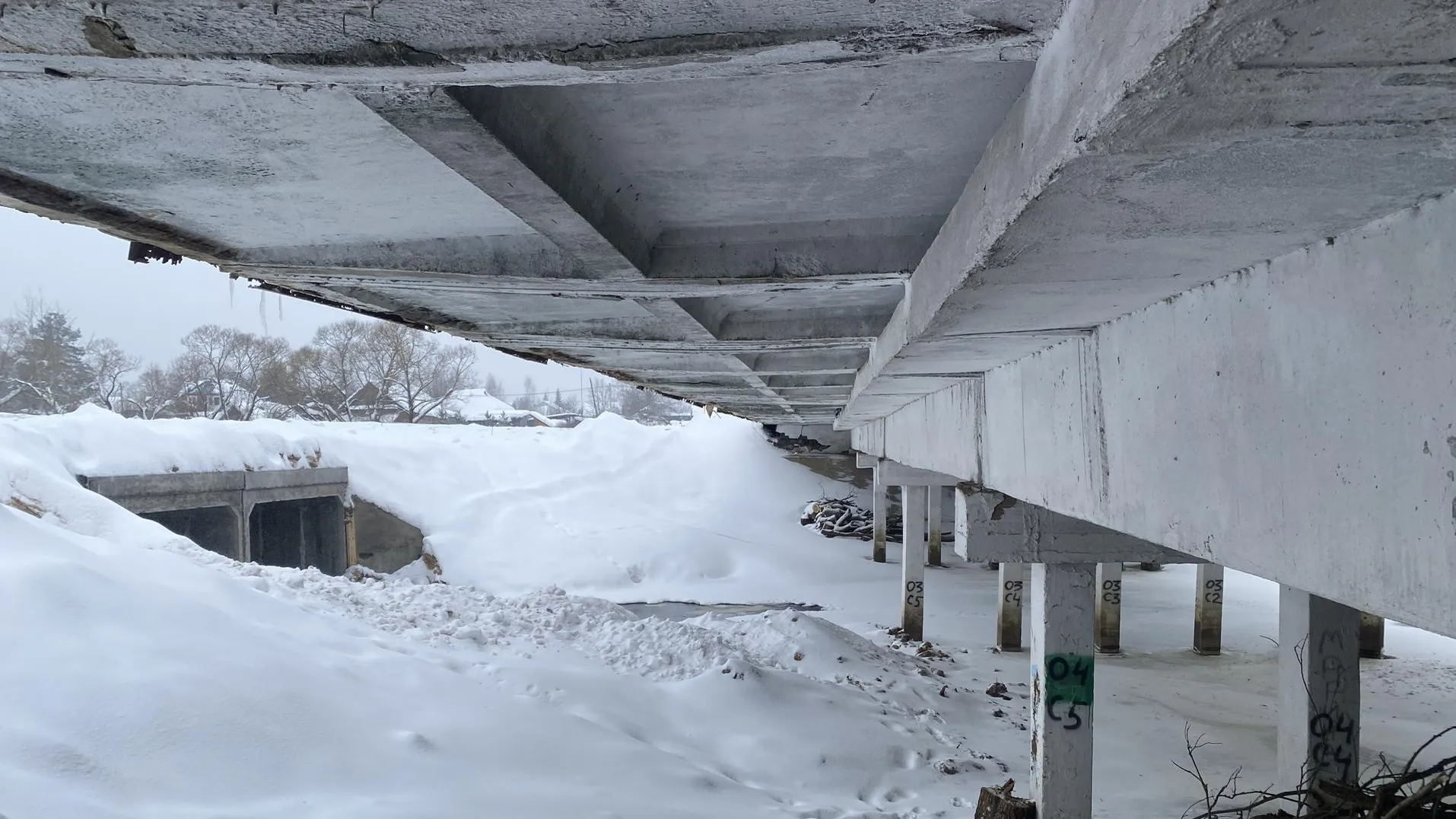 Анна Артюшина