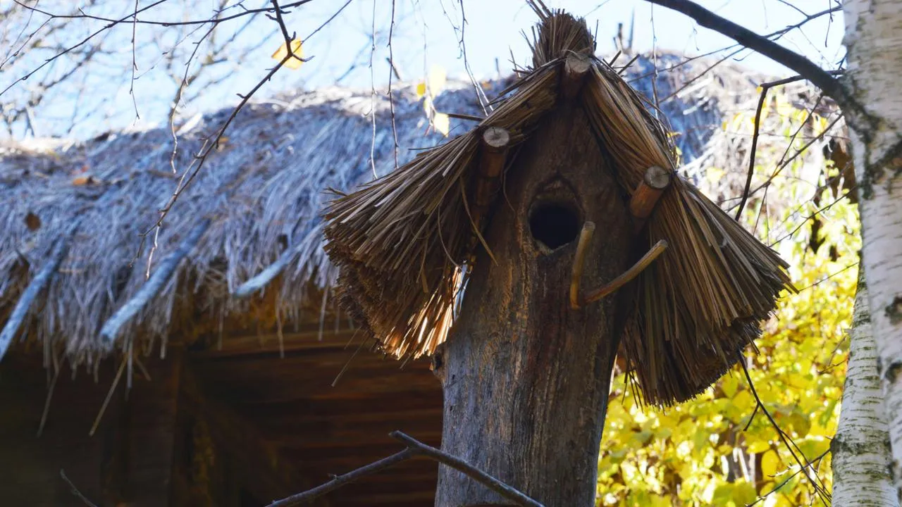 В гости к сказке и пить варево: в Подмосковье открылась «волшебная» изба Бабы-яги