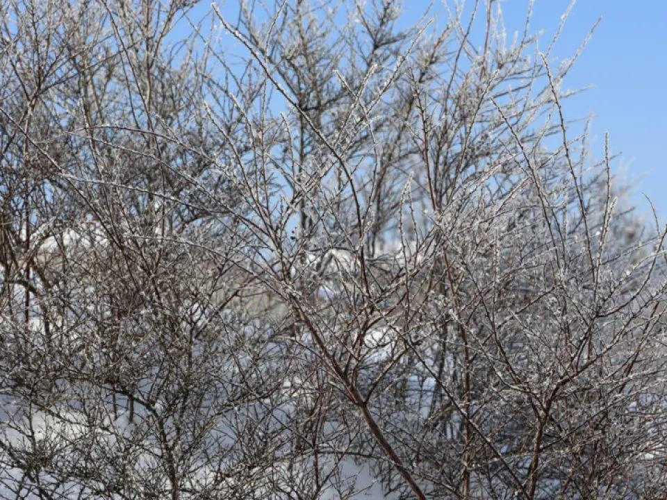 Гололед, снег и резкие перепады давления: прогноз погоды в Москве и Подмосковье с 10 по 13 февраля не радует
