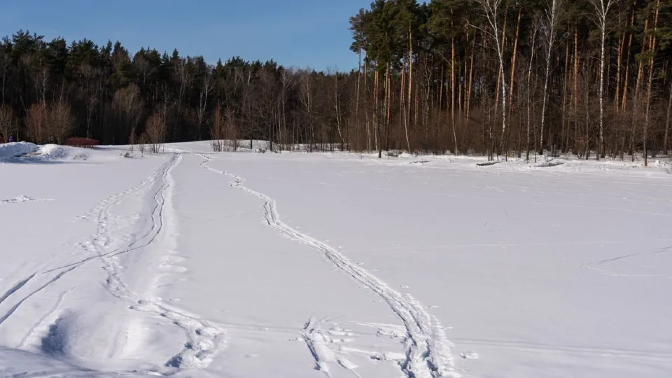 Фото: медиасток.рф