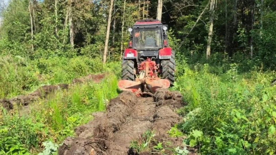 Фото: Комитет лесного хозяйства Московской области
