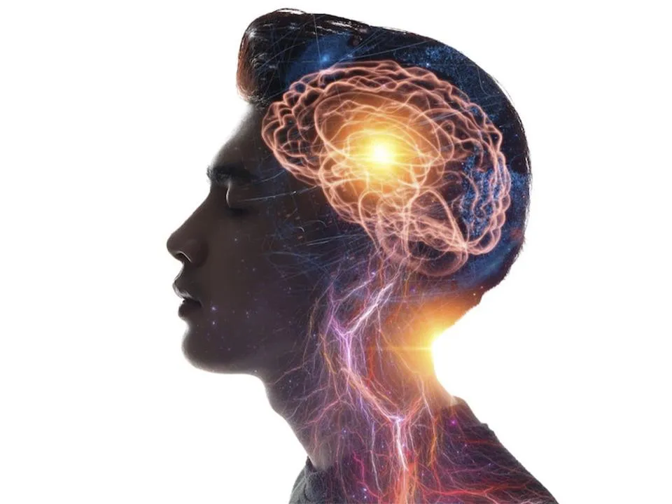 «Цифровой архиватор»: нейрохирург раскрыл удивительные свойства человеческого мозга