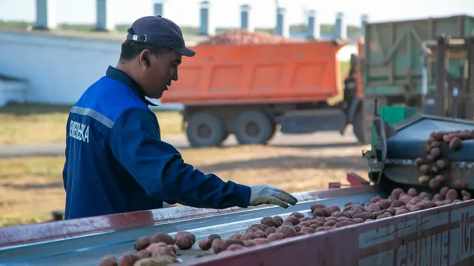 Фото: администрация городского округа Коломна