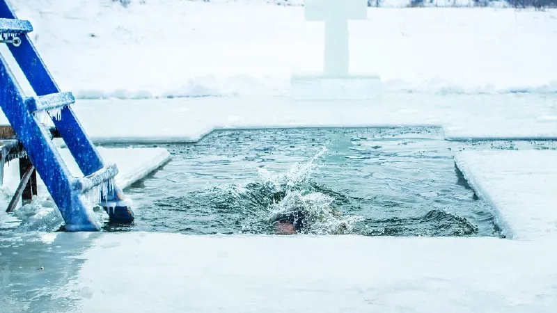 Фото: istockphoto.com/RomanKyryliuk