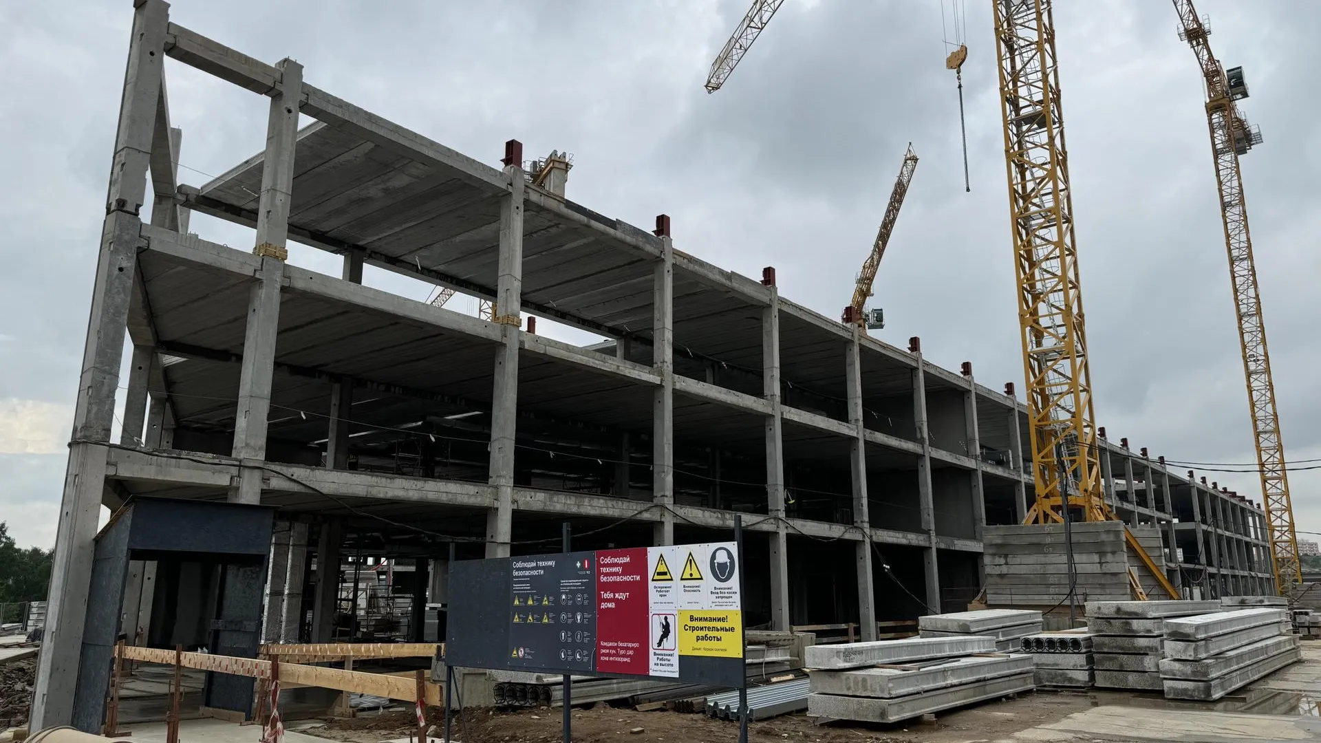 Фото: Мария Даньшина