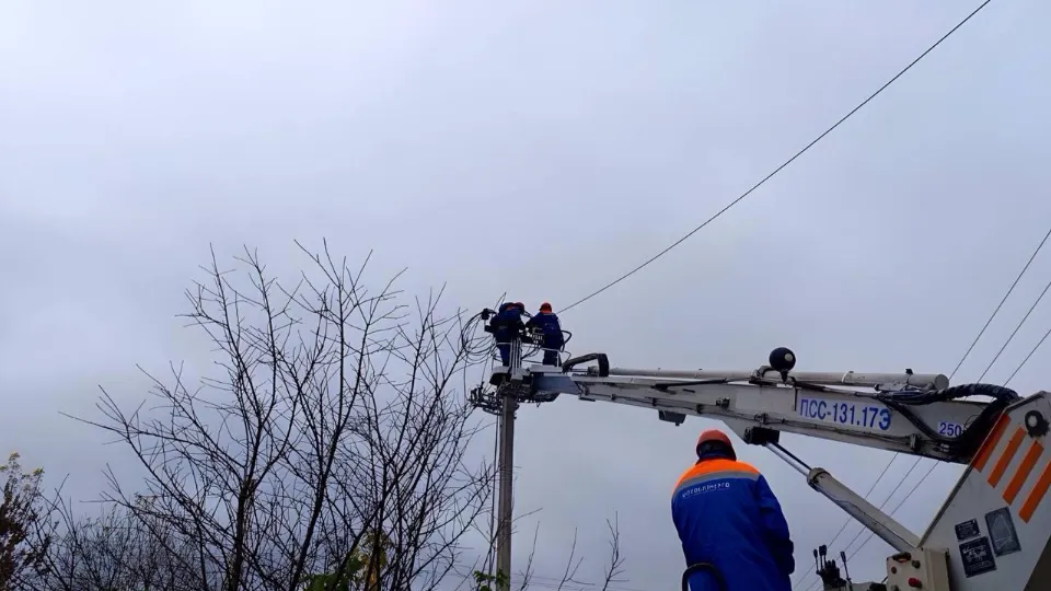 Фото: Мособлэнерго