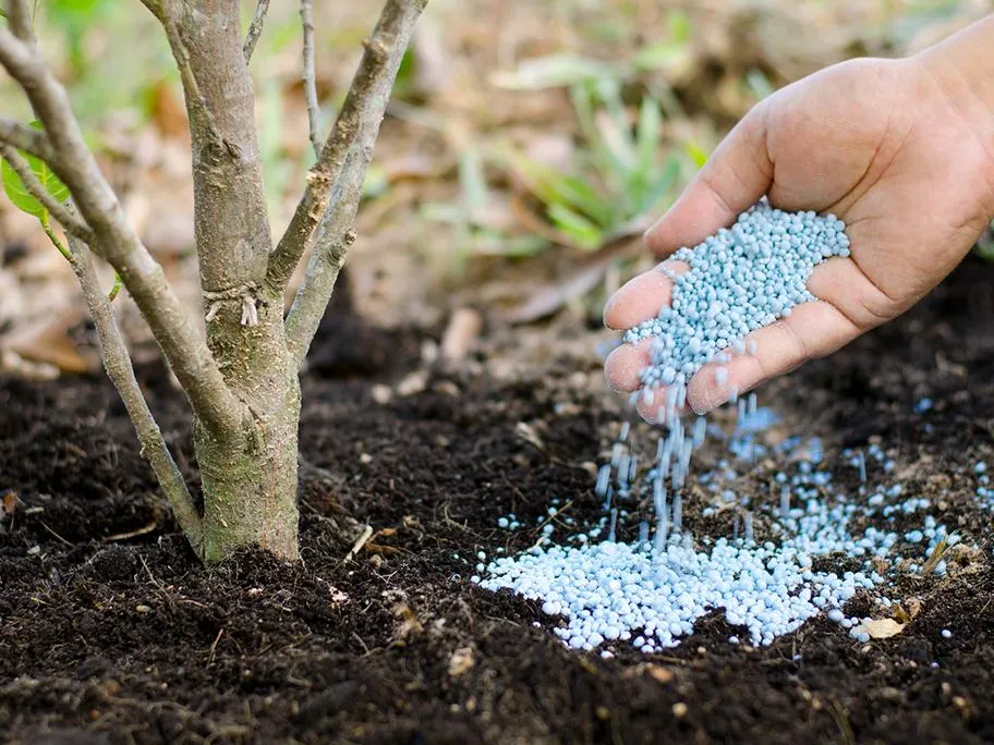 &nbsp; Фото: istockphoto.com