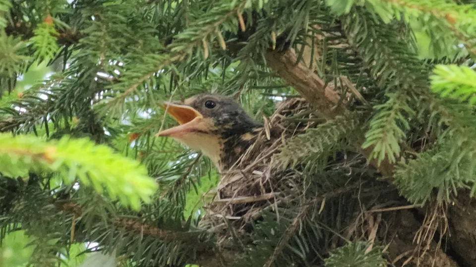 Фото: МедиаБанк Подмосковья/Андрей Семибратов