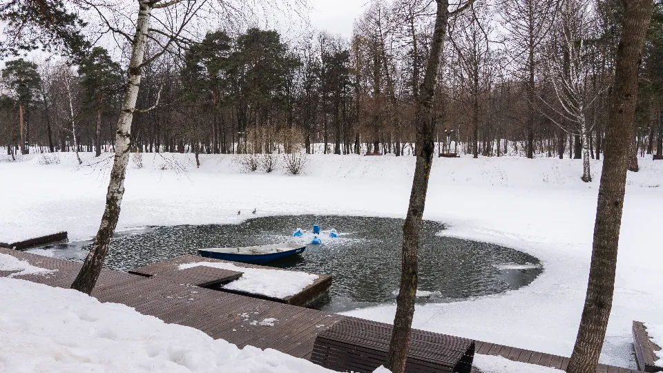 Фото: медиасток.рф