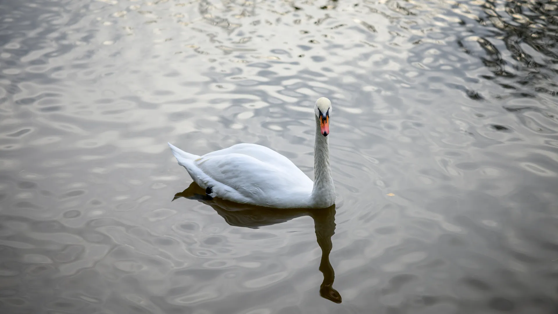 медиасток.рф