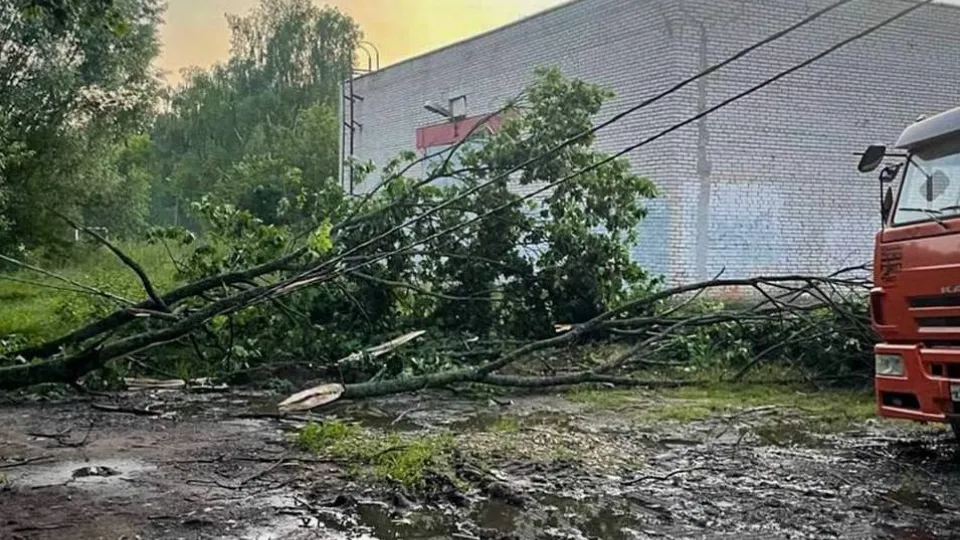 Фото: пресс-служба администрации г.о. Электросталь
