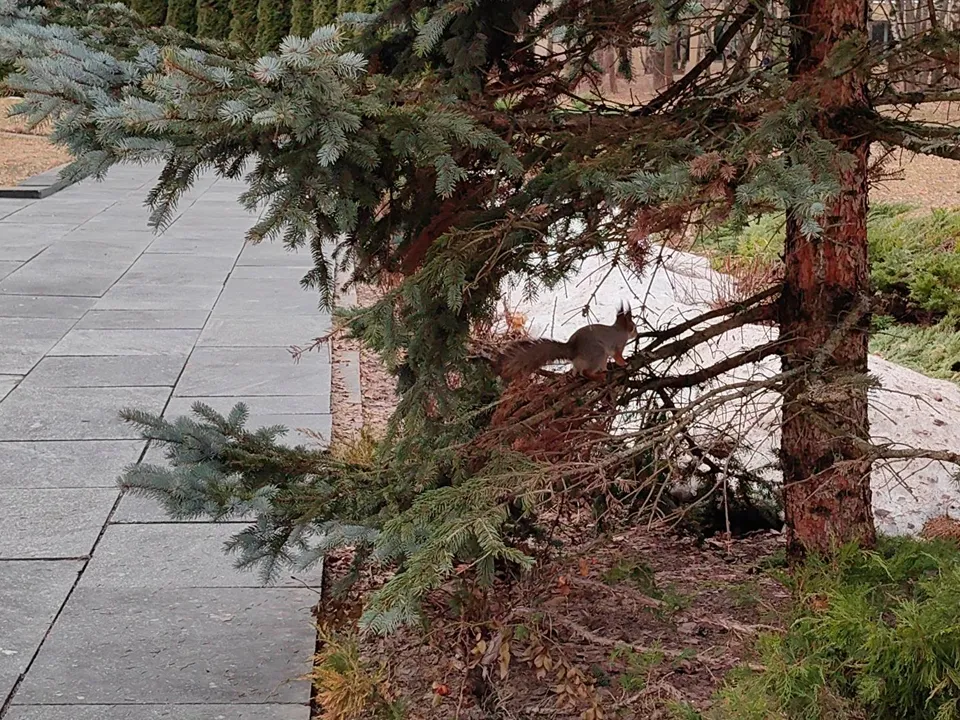 Фото: REGIONS/Елена Катасонова