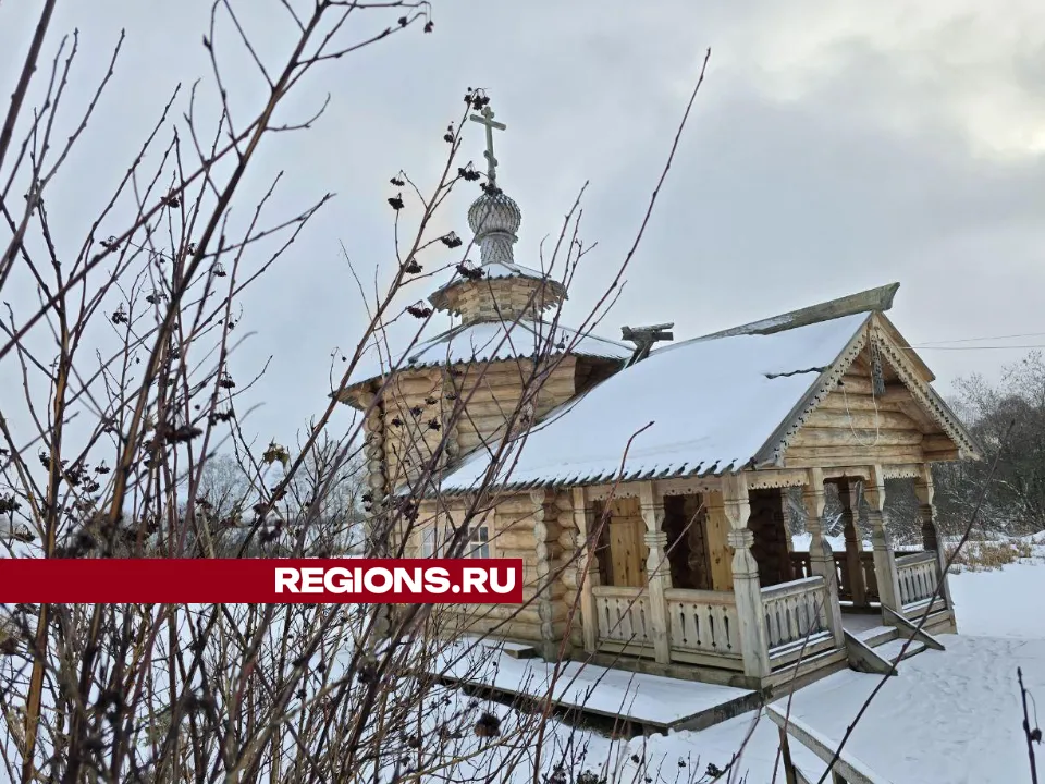 REGIONS/Яна Шаливская