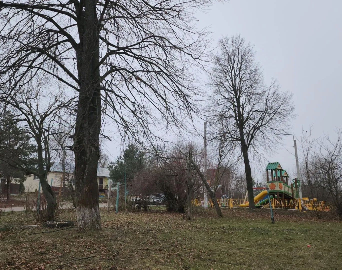 Фото: Иван Дубров