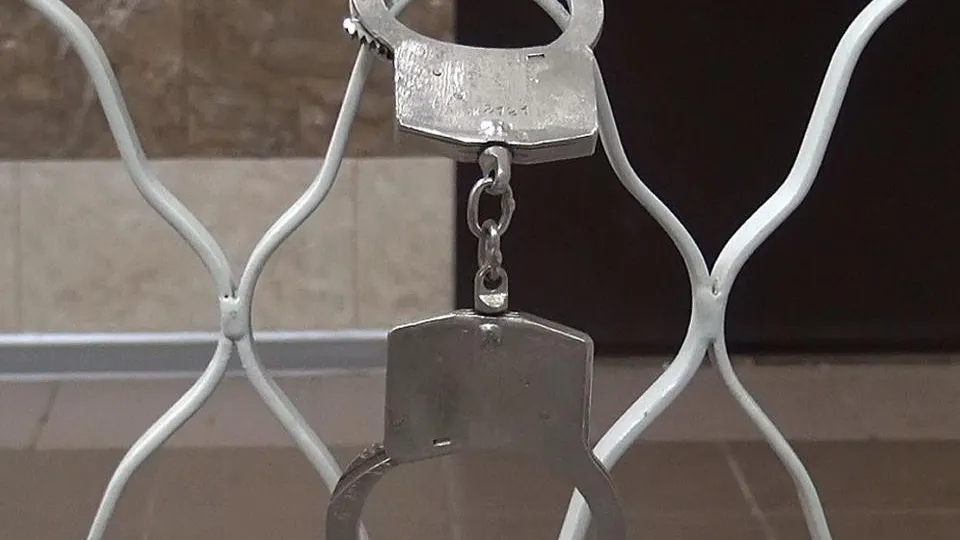 Фото: пресс-служба УМВД России по Дмитровскому городскому округу