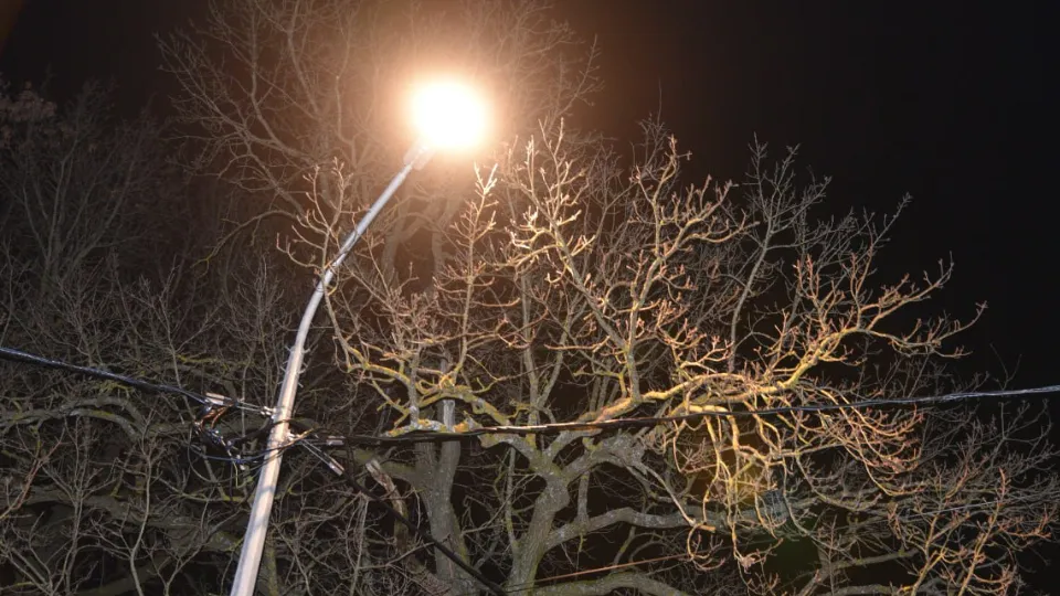 Фото: t.me/lotoshino_go