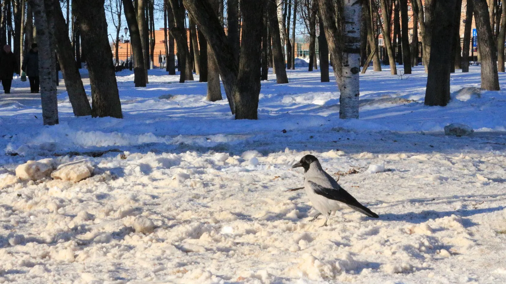 медиасток.рф