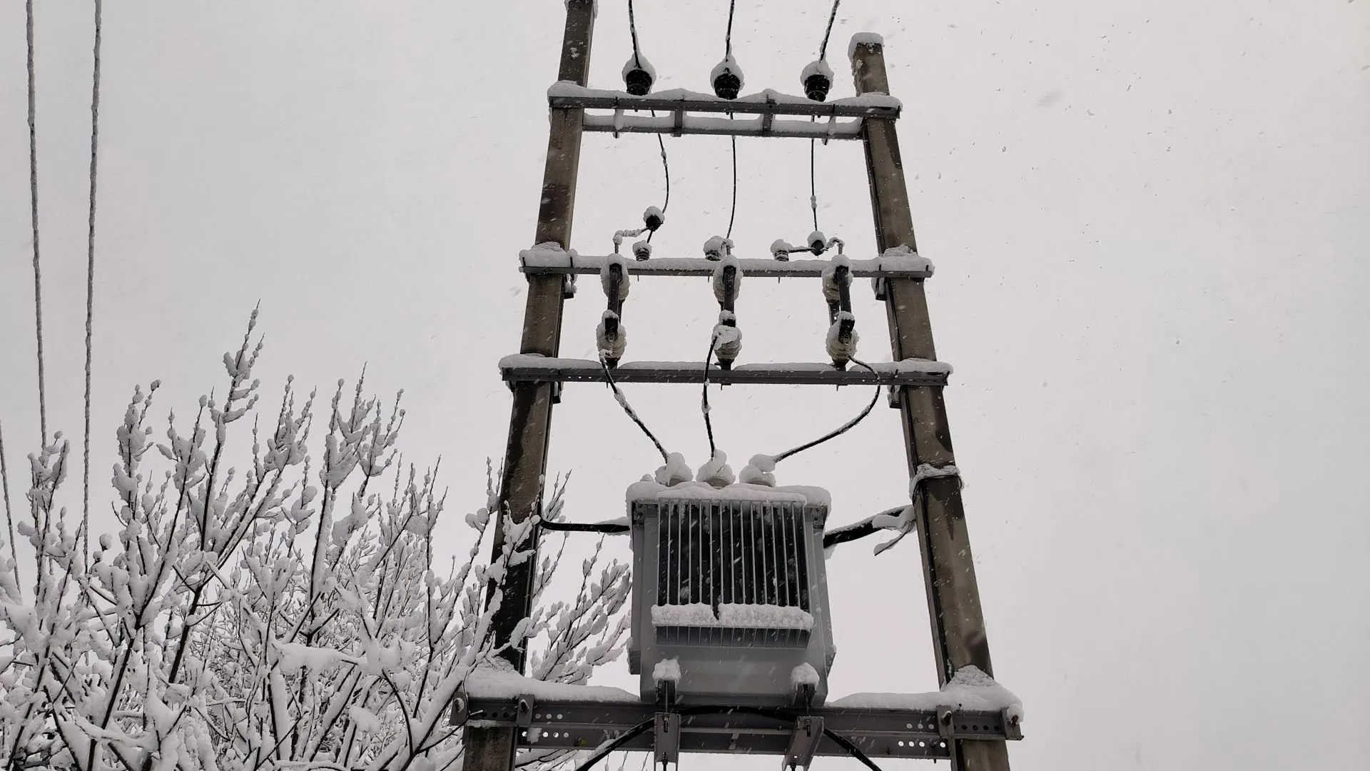 Maksim Konstantinov/Global Look Press