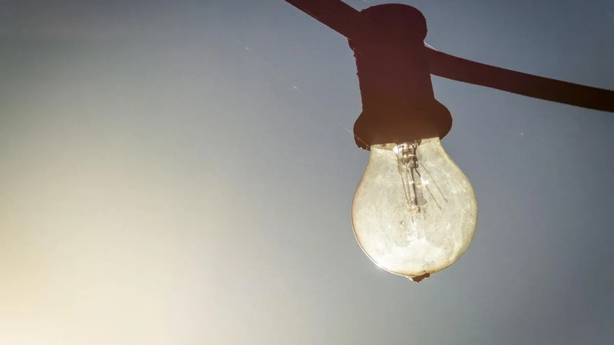 Фото взято с ru.freepik.com