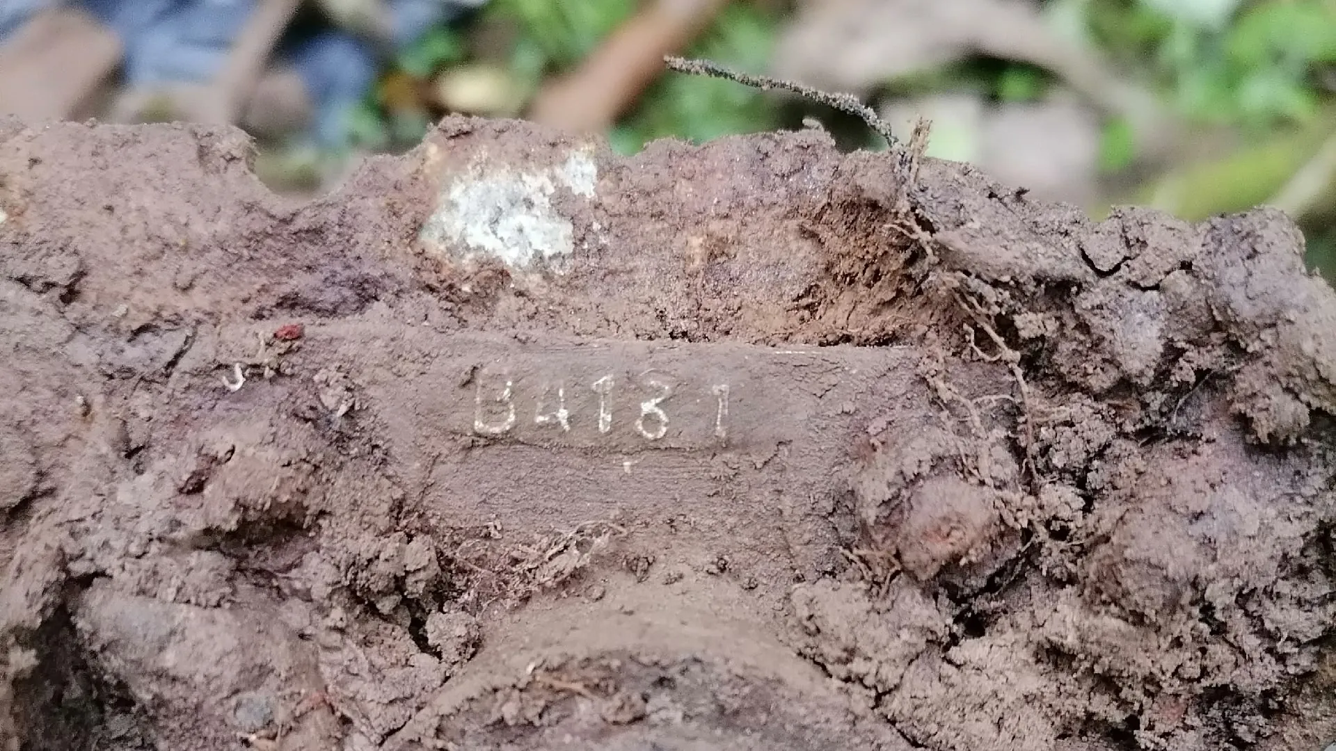 Фото: поисковый отряд «БУМЕРАНГ - ДОСААФ»