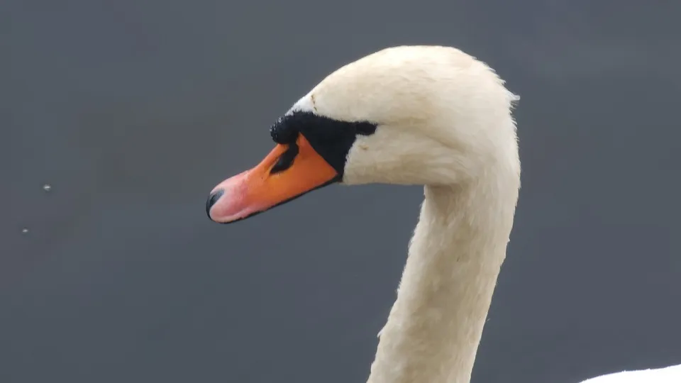 Фото: Валерия Исаева