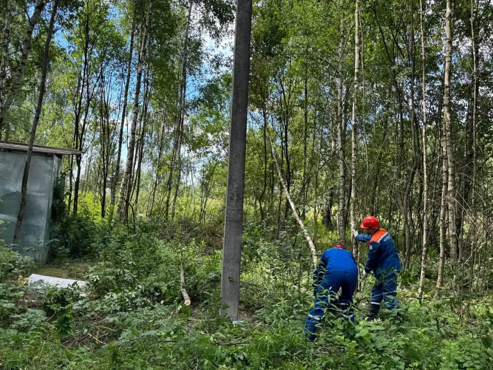 Фото: Мособлэнерго