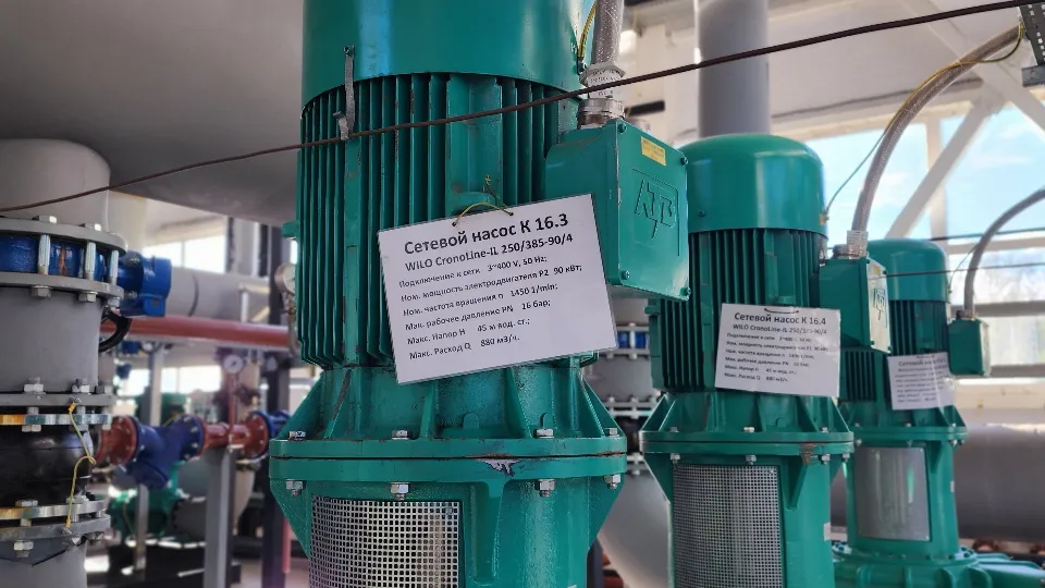 Фото: МедиаБанк Подмосковья/Валерия Тингаева