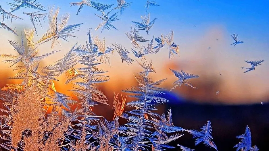 фото: mixyfotos.ru