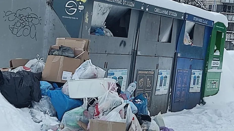 Фото: социальные сети