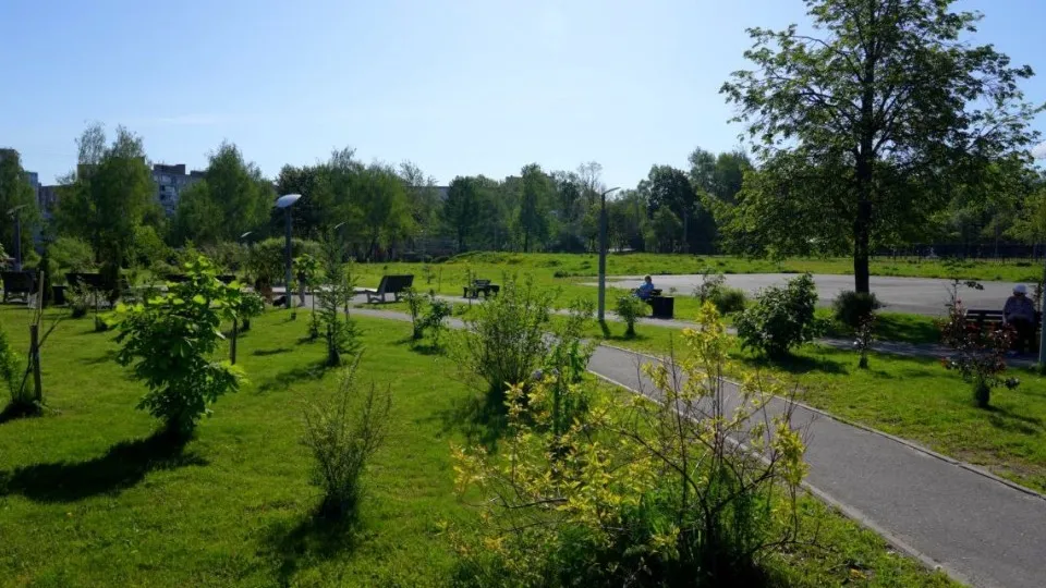 Фото: МедиаБанк Подмосковья/Дмитрий Зайчиков