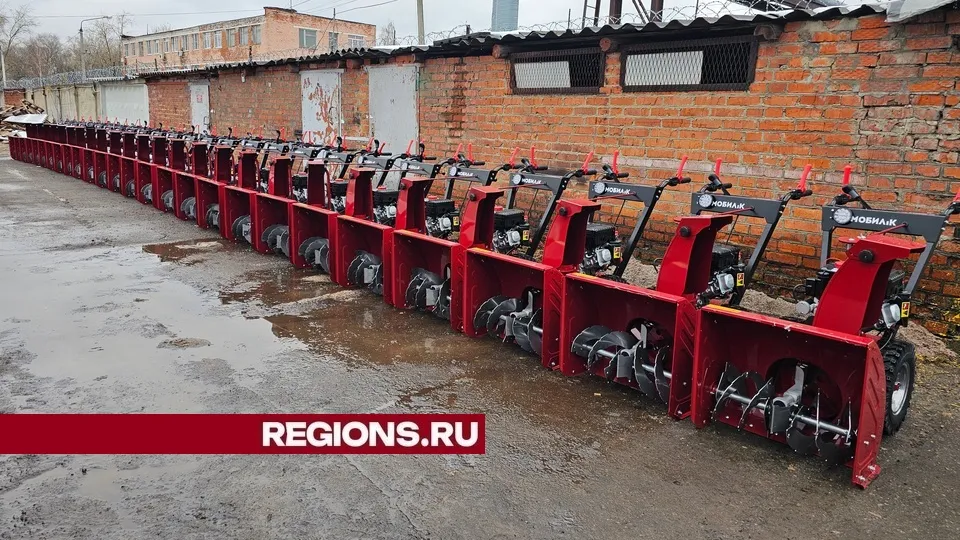 Фото: REGIONS/Александр Дрожжин