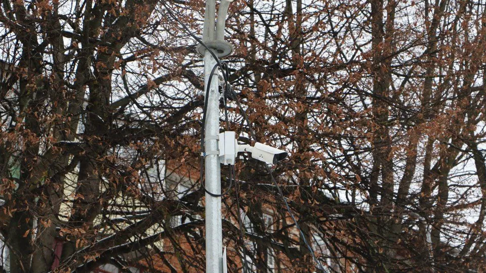 Фото: t.me/VVFedonin