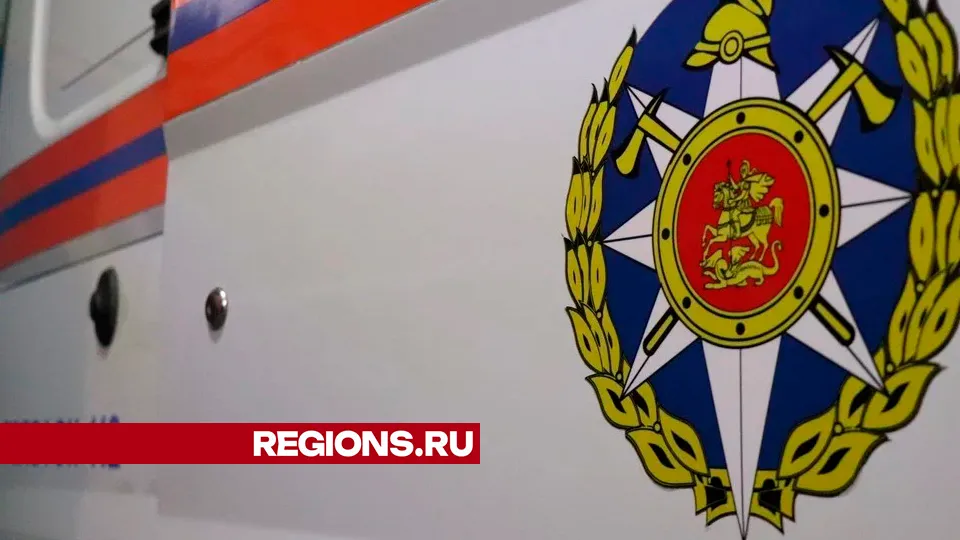 Фото: REGIONS/Василий Тремасов