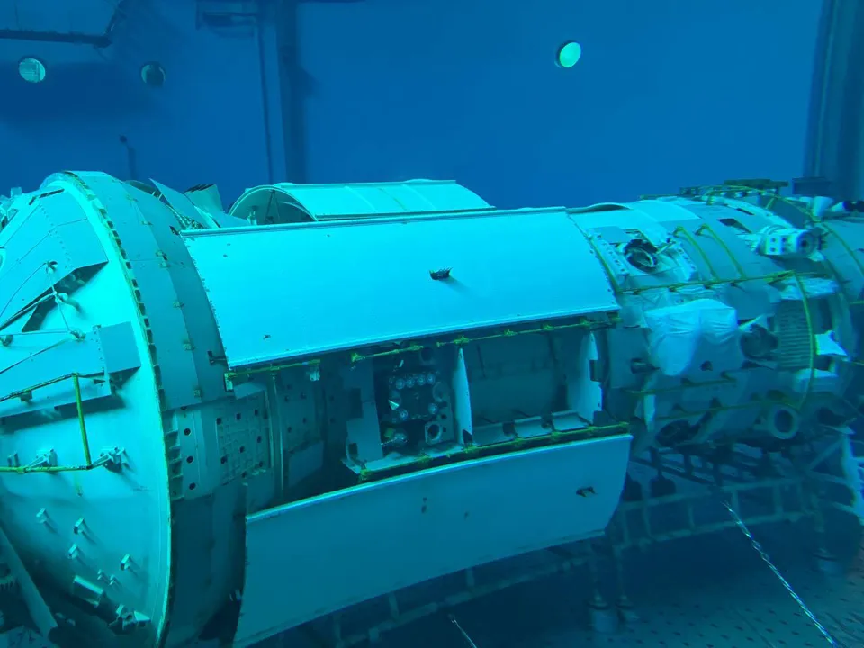 Фото: из личного архива Алексея Синельникова