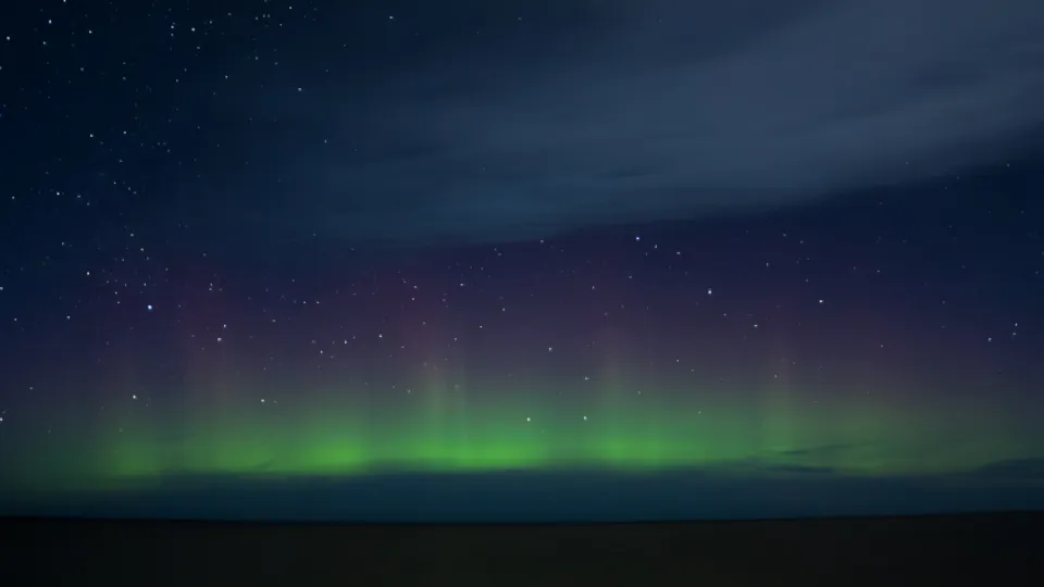 Фото: pxhere.com